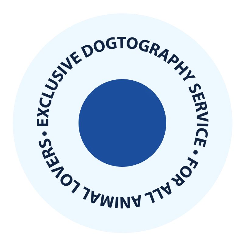 Magika_Studios-Dogtography-1